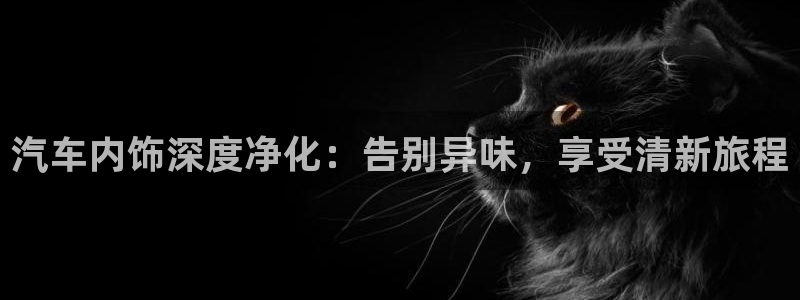 尊龙信息科技有限公司