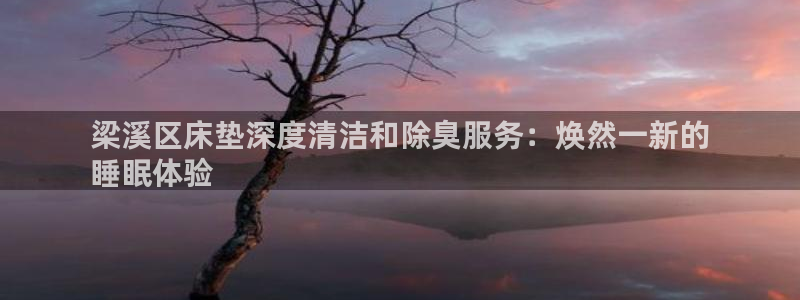 d88尊龙z6
