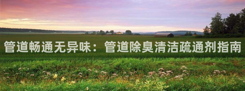 Z6尊龙老版：管道畅通无异味：管道除臭清洁疏通剂指南