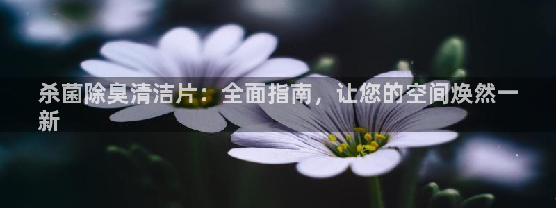尊龙凯时 人生就是搏客服：杀菌除臭清洁片：全面指南，让您
