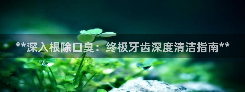 凯时k66官网登录：**深入根除口臭：终极牙齿深度清洁指
