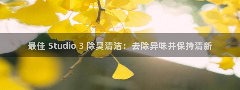 尊龙新版app：最佳 Studio 3 除臭清洁：去除异