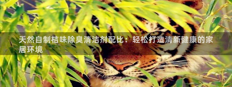 尊龙现金：天然自制桔味除臭清洁剂配比：轻松打造清新健康的