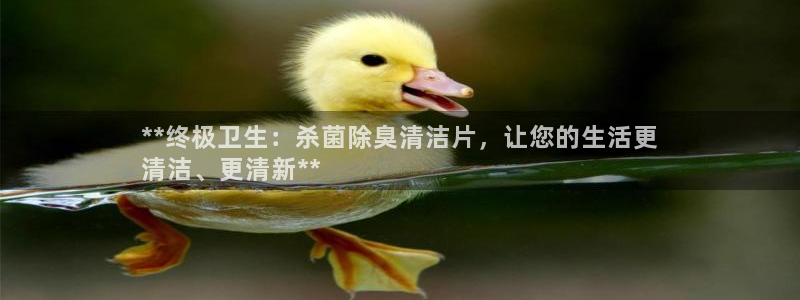 有人在凯时赢过钱吗：**终极卫生：杀菌除臭清洁片，让您的