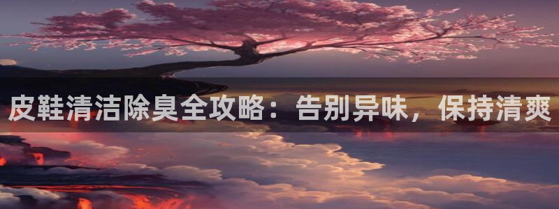 尊龙凯时正规吗：皮鞋清洁除臭全攻略：告别异味，保持清爽