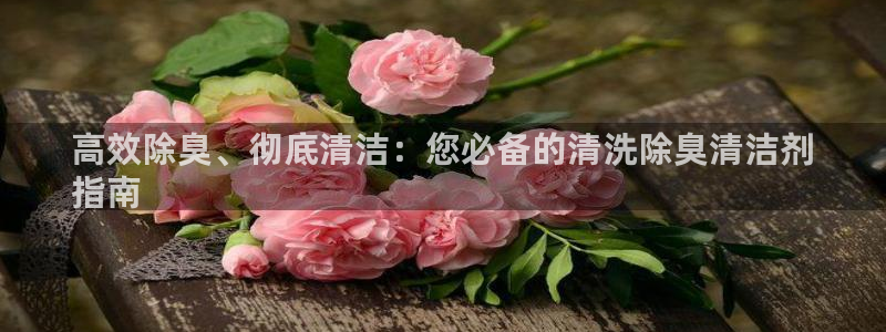尊龙凯时网娱乐官网：高效除臭、彻底清洁：您必备的清洗除臭