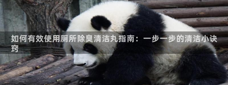 尊龙人生就是博登录网址下载：如何有效使用厕所除臭清洁丸指