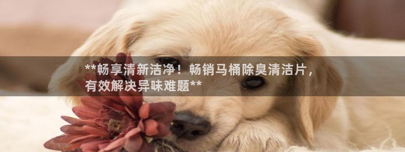 尊龙最近一次露面