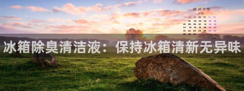 尊龙注册码：冰箱除臭清洁液：保持冰箱清新无异味