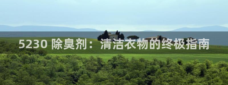 凯时国际最新
