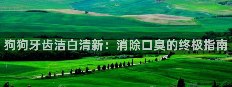 尊龙 6：狗狗牙齿洁白清新：消除口臭的终极指南