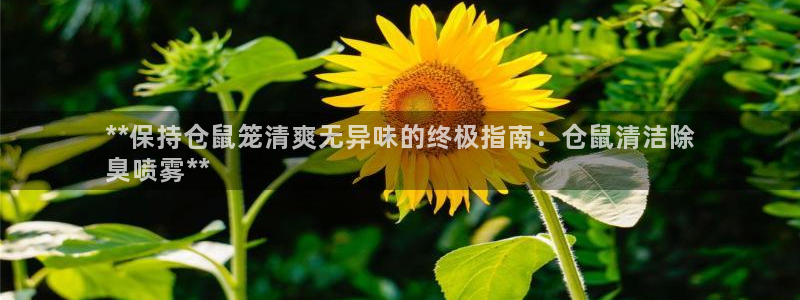 尊龙d88官网登录下载：**保持仓鼠笼清爽无异味的终极指