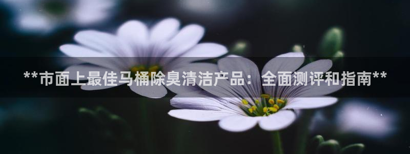 尊龙凯时请求参数不符合
