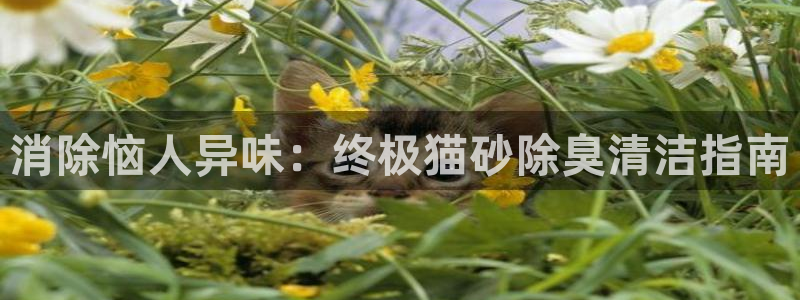 尊龙凯时存款多久到账