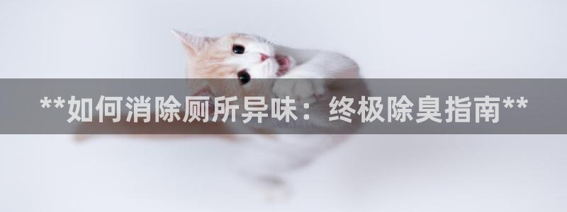 尊龙现金娱乐 下载