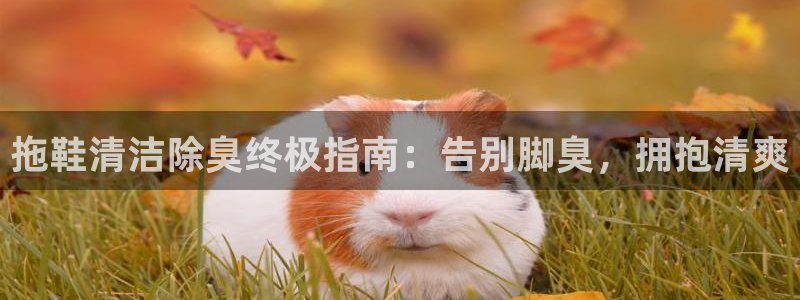 尊龙人生就是博d88官方网站