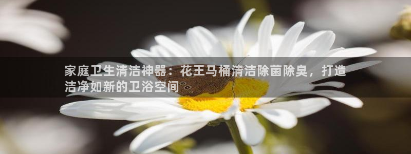 凯时k8娱乐唯一官网：家庭卫生清洁神器：花王马桶清洁除菌