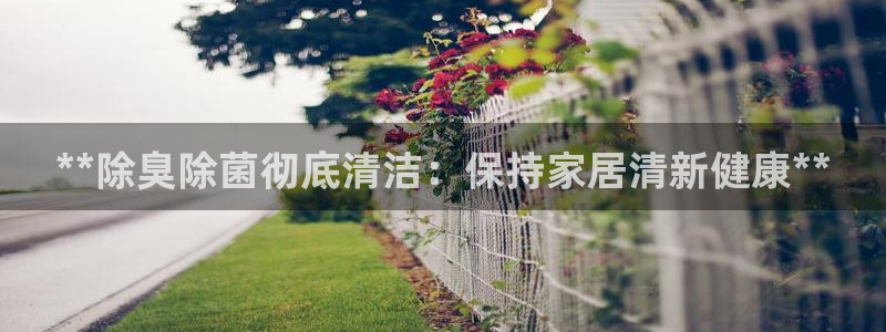 尊龙凯时代理佣金发不发：**除臭除菌彻底清洁：保持家居清