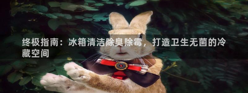 尊龙实业 吴友良：终极指南：冰箱清洁除臭除霉，打造卫生无