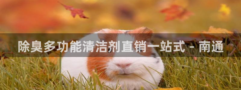 尊龙内地