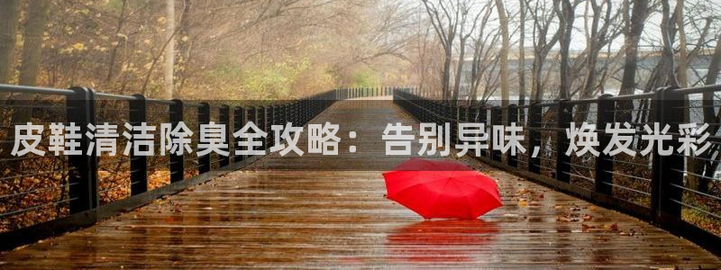 凯时网上官方网站