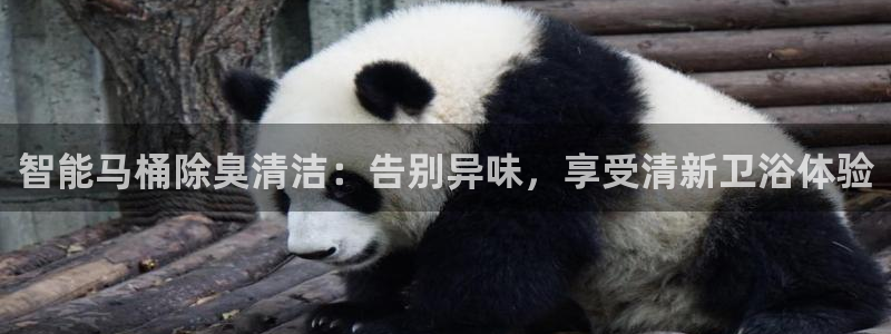 尊龙官网免费下载安装