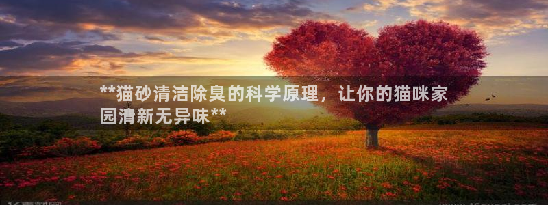 kb88凯时唯一官网注册：**猫砂清洁除臭的科学原理，让