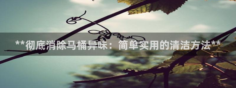 尊龙人生就是博旧版手机可靠送38元