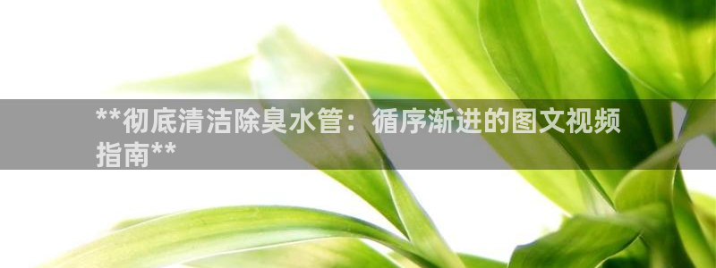 尊龙官方网站最新版V9.3.06