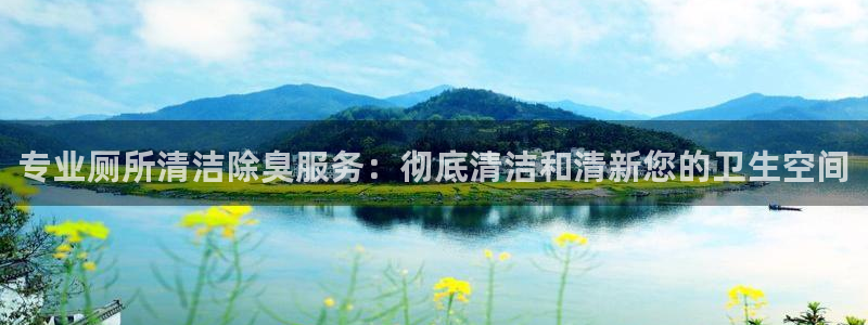 尊龙在线登录官网：专业厕所清洁除臭服务：彻底清洁和清新您