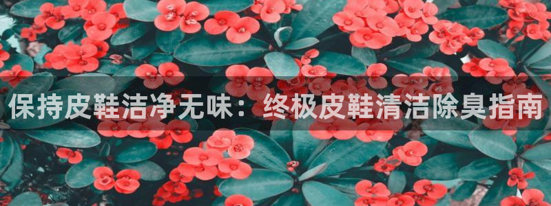 尊龙官网免费下载