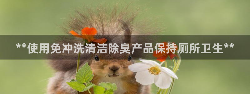 凯时ag旗舰厅网址是什么