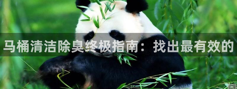 尊龙品牌怎么样：马桶清洁除臭终极指南：找出最有效的