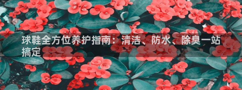 z6尊龙z6