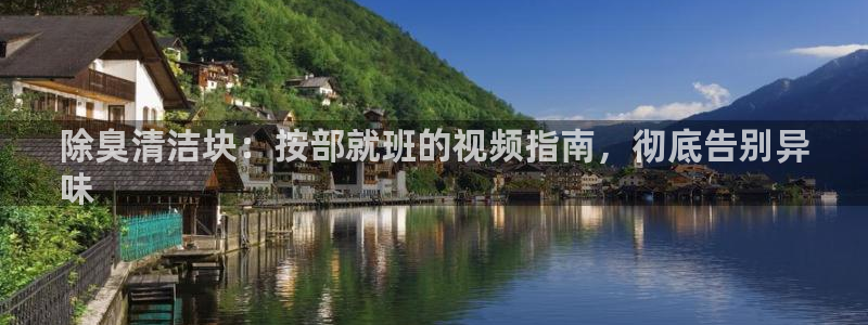 凯时kb88官网网址：除臭清洁块：按部就班的视频指南，彻