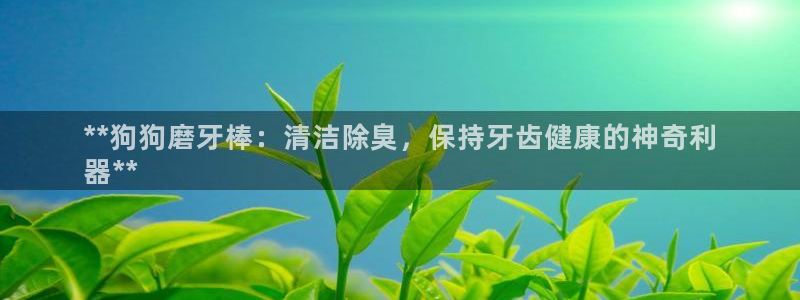 尊龙凯时app官方网站