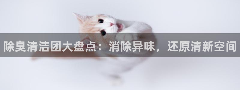 凯时登录首页,凯时K66：除臭清洁团大盘点：消除异味，还