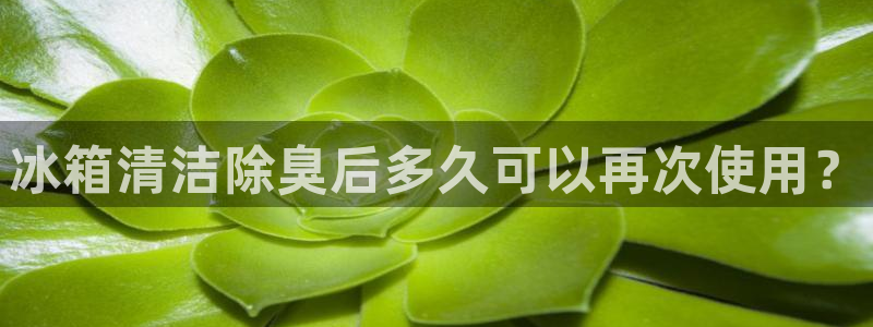 尊龙人生就是博旧版网址