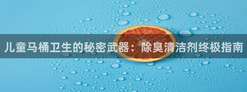 凯时官网手机版首页