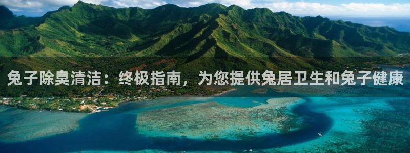 尊龙网址是多少
