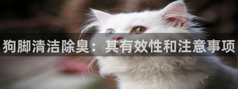 z6尊龙凯时官方