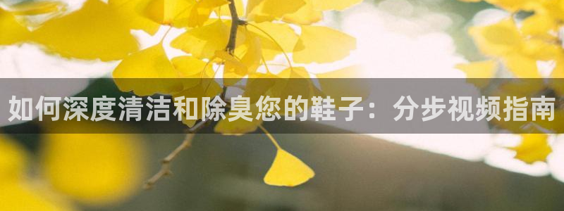 尊龙人生就是博旗舰厅