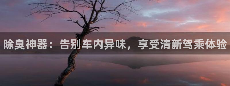 z6com尊龙凯时代理