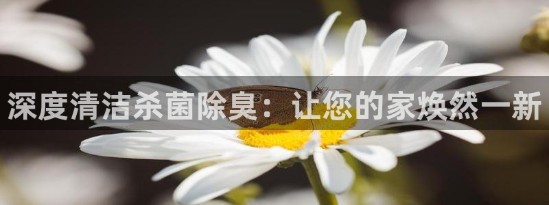 尊龙凯时几百万怎么下