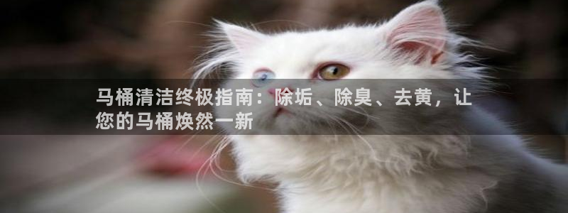 凯时最新官方APP下载