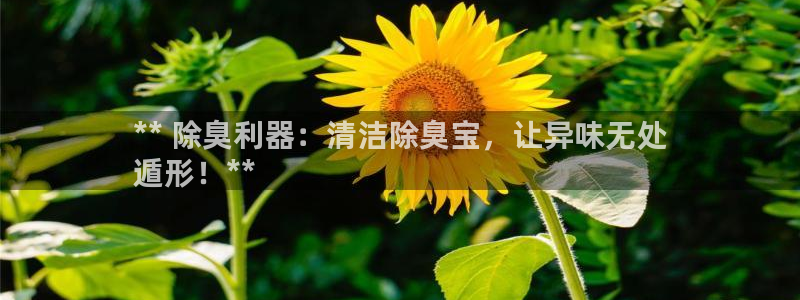 尊龙d88官网登录苹果版下载：** 除臭利器：清洁除臭宝
