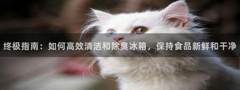 尊龙 中国：终极指南：如何高效清洁和除臭冰箱，保持食品新