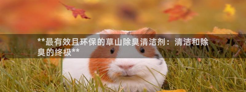 尊龙凯时登陆入口