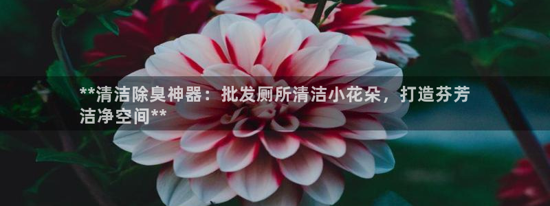 尊龙凯时美金能提取吗