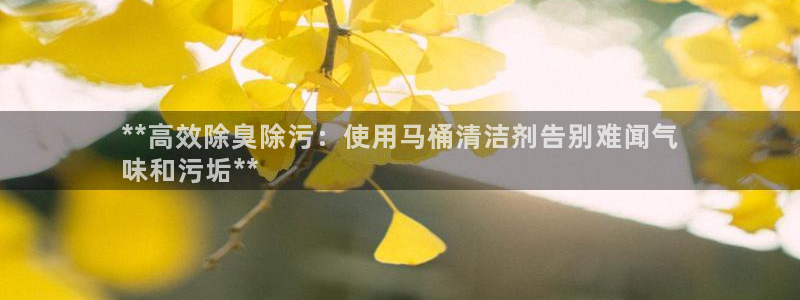尊龙手机版